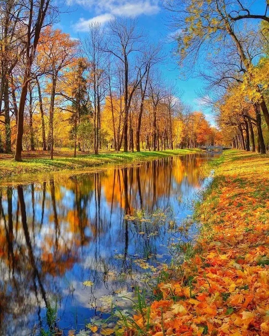 Во власти рыжей