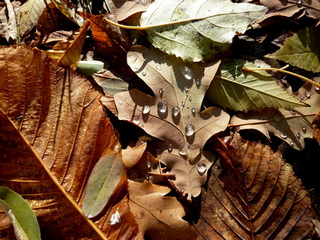 Конец бабьего лета