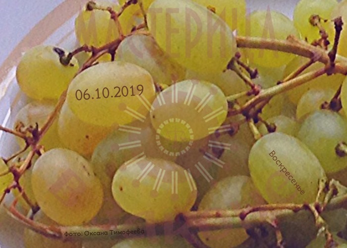 Я повседневную жизнь в стихах и прозе реферирую