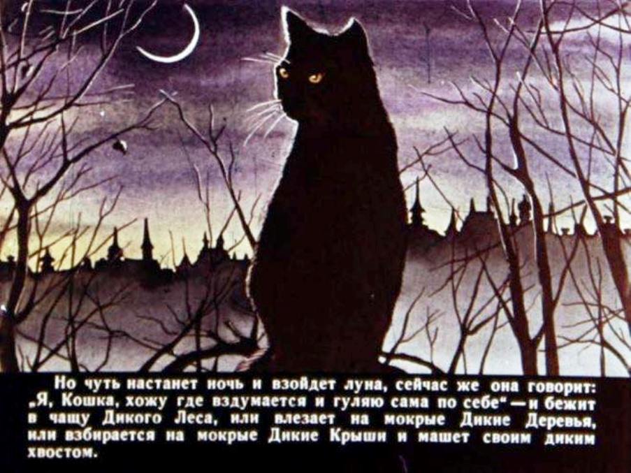 Песня дикие ночи. Кошка которая гуляла сама по себе 1988. Киплинг кот который гулял сам по себе. Кошкина которая гуляет сама по себе. Черная кошка гуляет сама по себе.