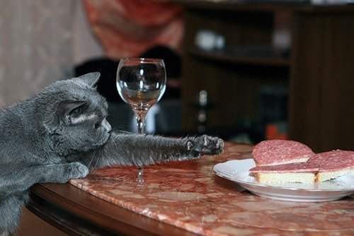 Бутылку молока вдвоём