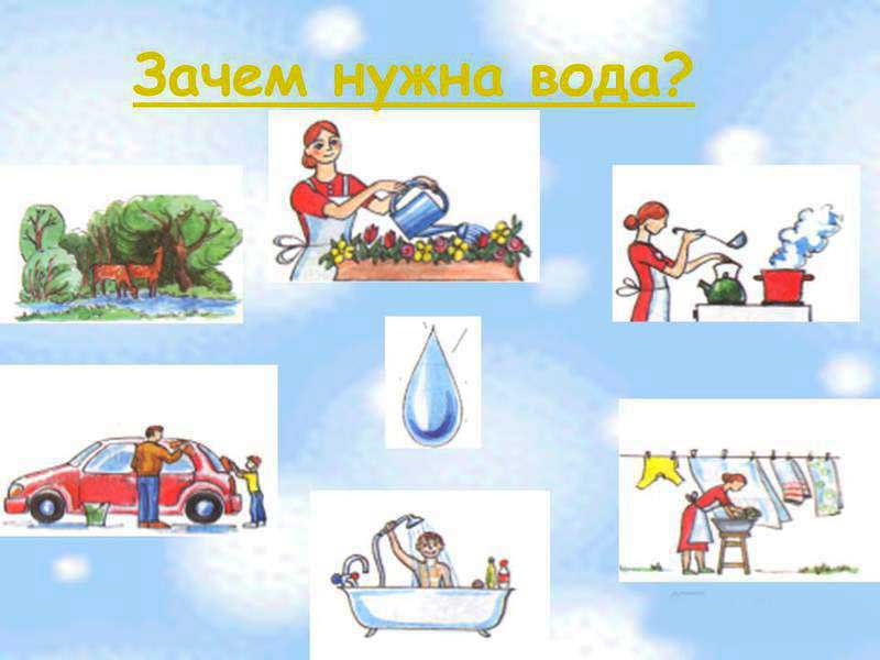 Для чего нужна вода?