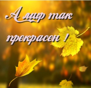 А мир так прекрасен! Октябрь