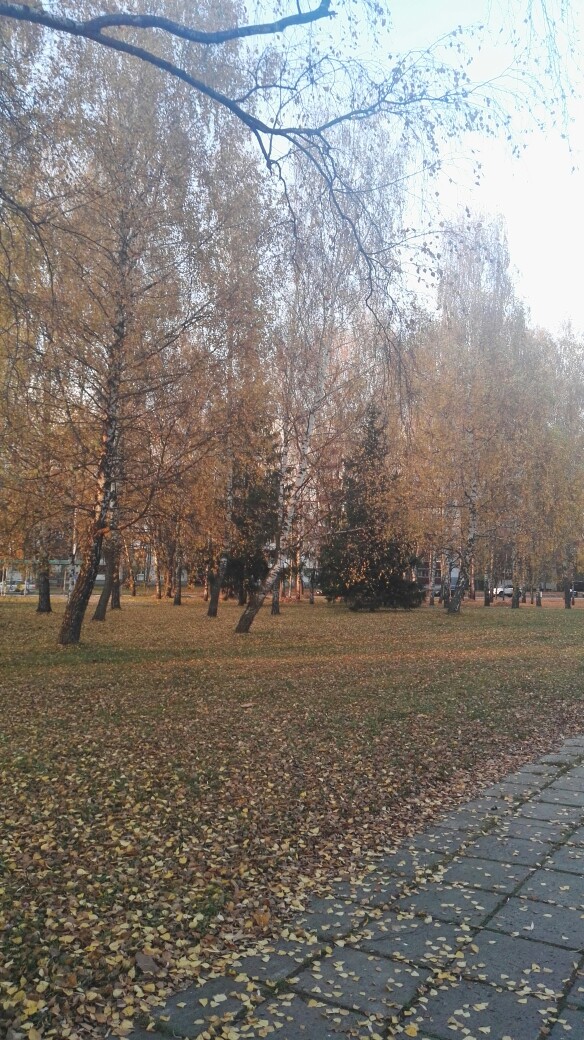 Главная мелодия