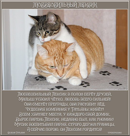 Любвеобильный Лексик