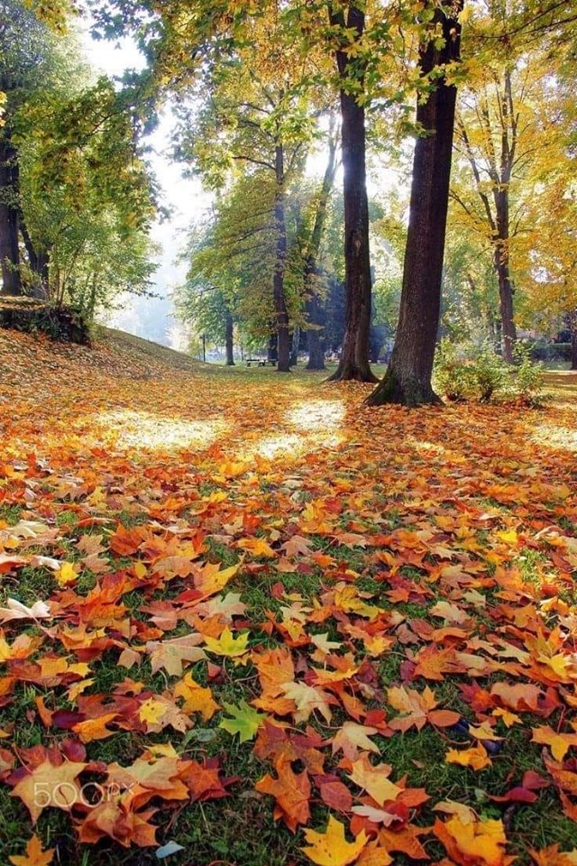 Четыре сезона