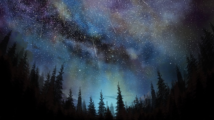 Очарована звездным небом!