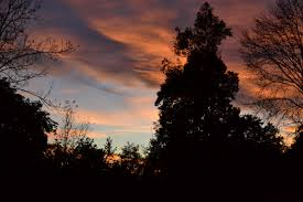 Ноябрьская ночь