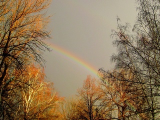 Двое и дождь