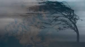 Разгулялся ветер