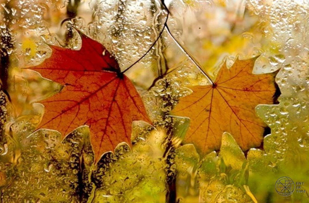 осень - слякотно...