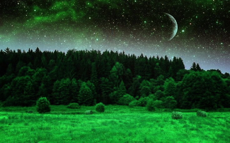 Усталость дней