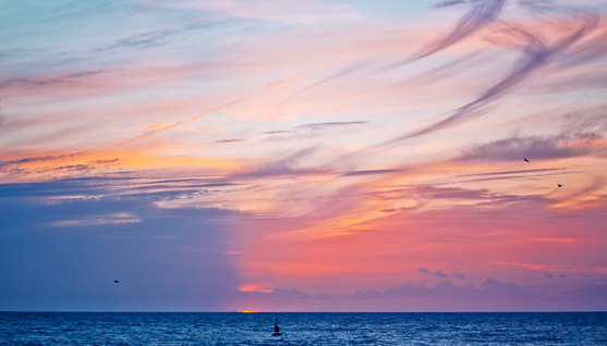 Дождливой осени такой удел