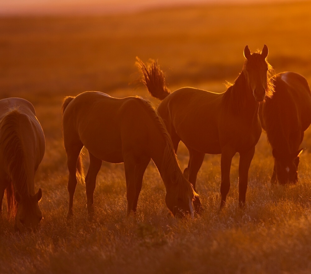 Ветреный, пыльный, нахмуренный