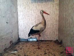 После долгой разлуки