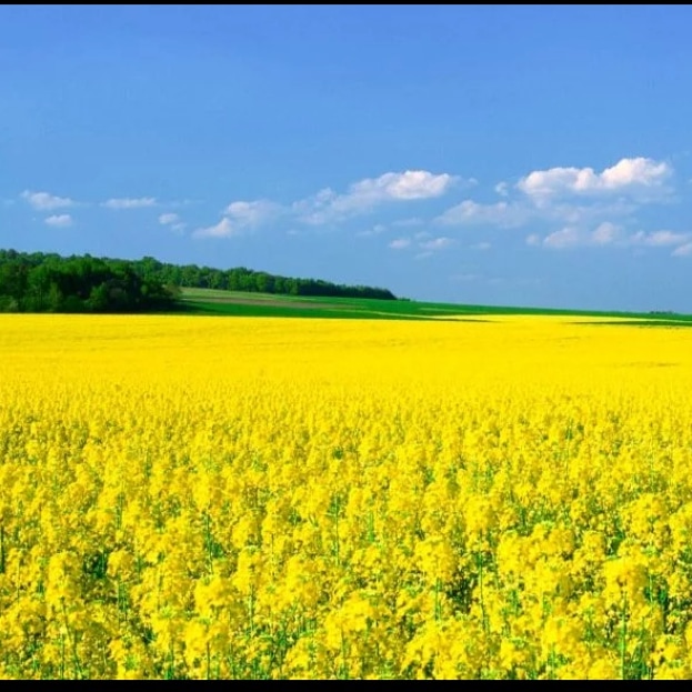 Ах как пахнет...