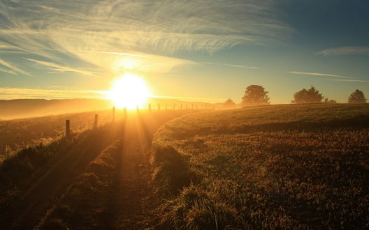 Дарует радость