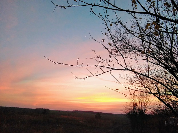 Лунный царь