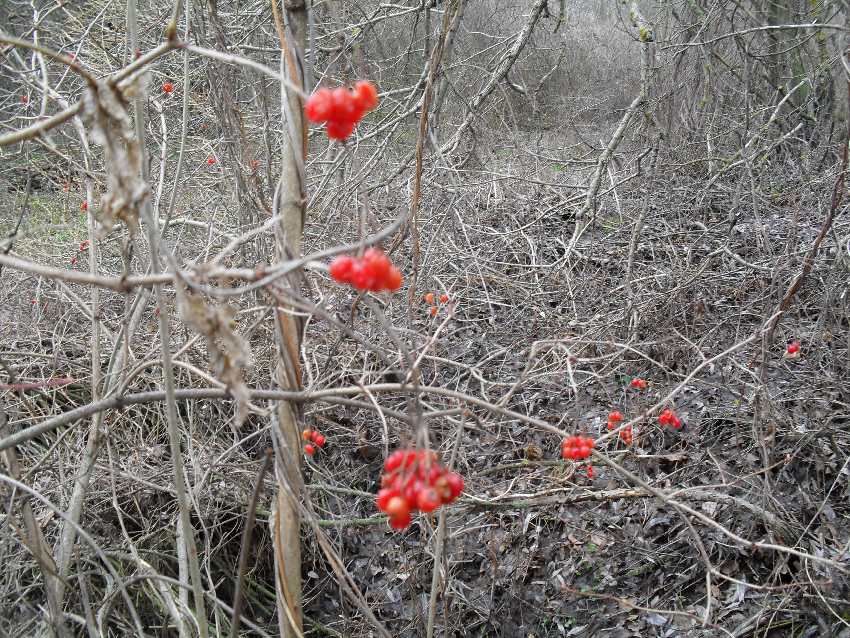 Завтра ноябрь...