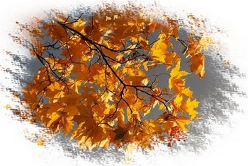 Отшумели рощи...