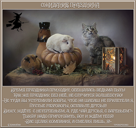 Ожидание праздника