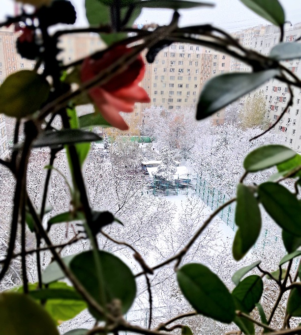 Первый снег