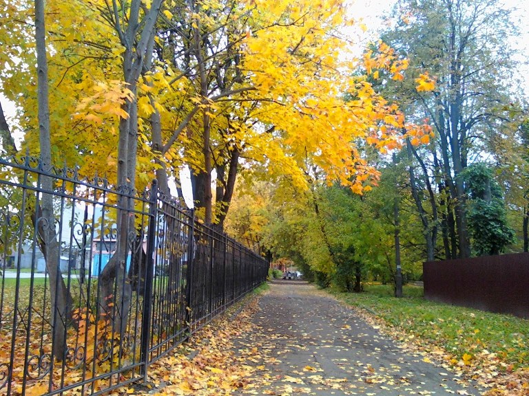 О печали осени, об осенней грусти...