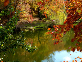 Расплескала осень краски