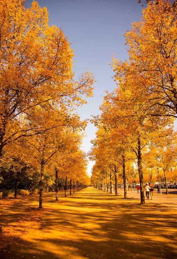 Осенний блюз, осенний блюз!