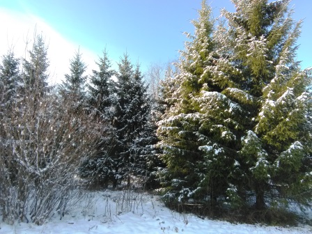 Обновление