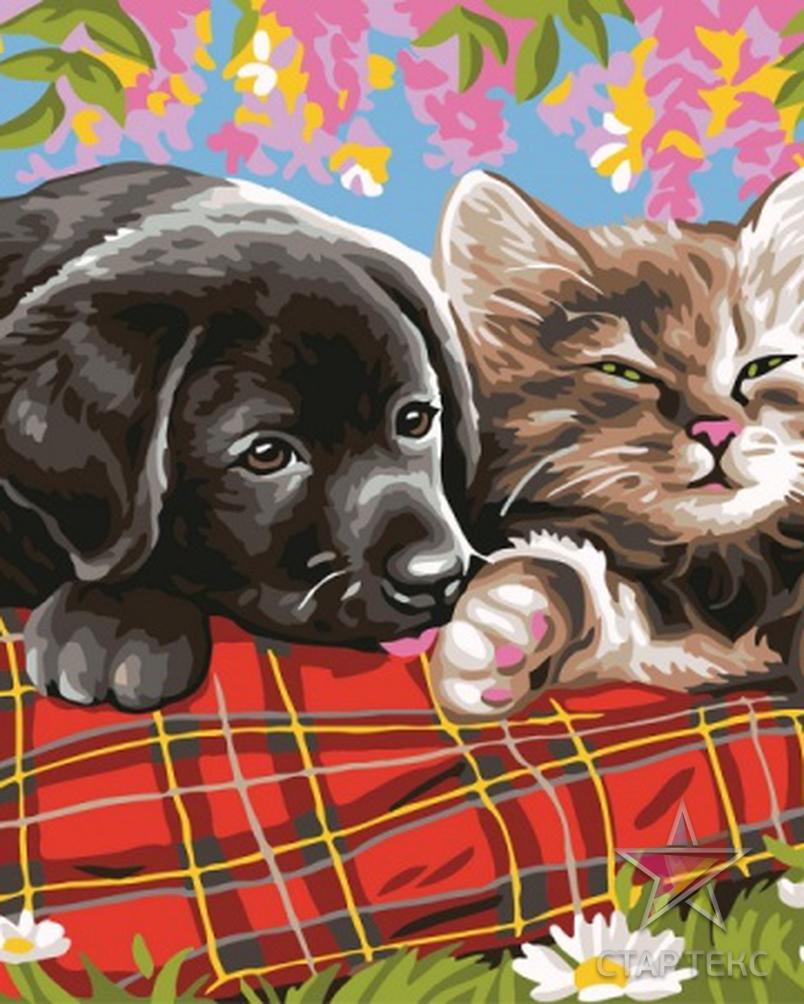 Кошечки собачки собака вик. Собачки и кошечки. Кошечки собачки живопись. Щенок и котенок.