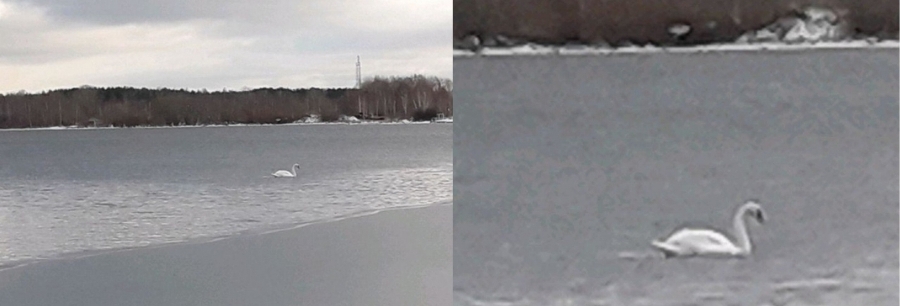 Пока родной Урал уже который день укрыт зимой...