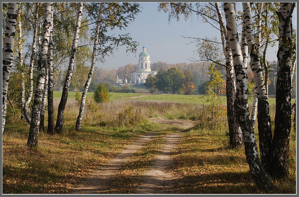 Вдали виднелась березовая