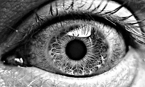 Пошло всё к чёрту надоело