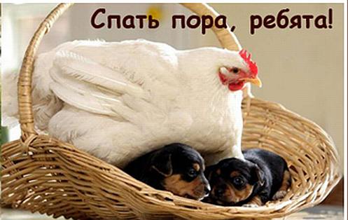 Короткие детские сонеты. Татьяна Казырина
