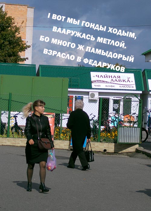 Шама до шамкы