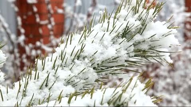 Снегопад зиме в угоду