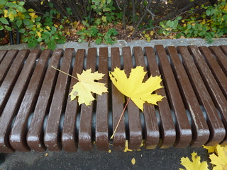 Что мне твоя любовь дала?