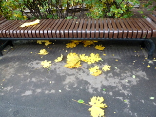 Что это за любовь?