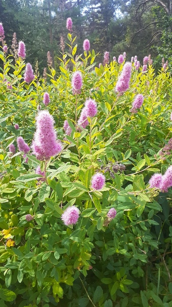 Одно объятие