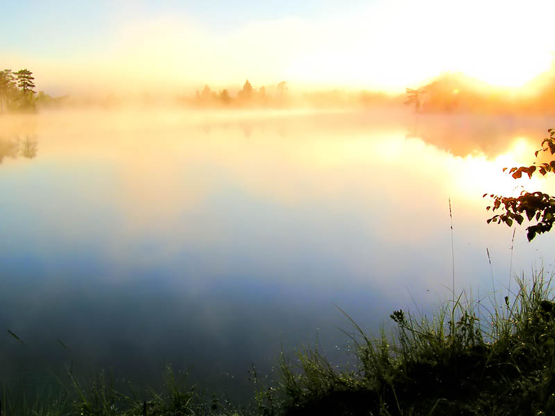 Настой прохладного тумана