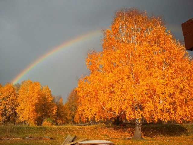 Всегда с тобой