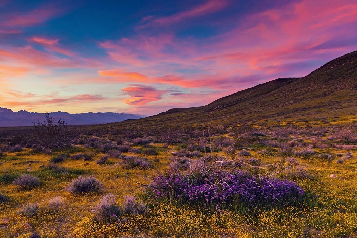 Как заметно хвосты поджимают... (Татьяна Марк) / Стихи.ру