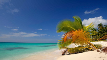 Но я вернусь, когда наступит срок...