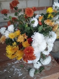 Запах осени