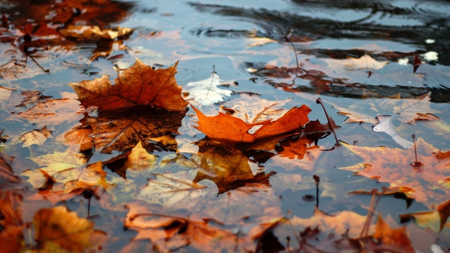 Просто смывает наши грехи