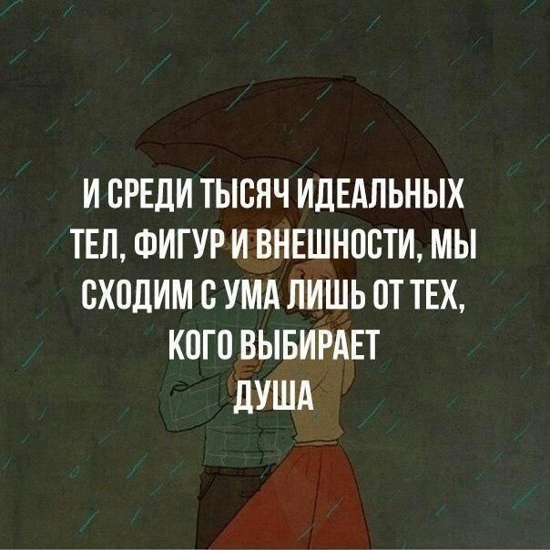 Я любви у тебя не прошу...
