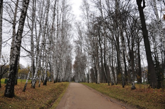 Ноябрьское, утреннее