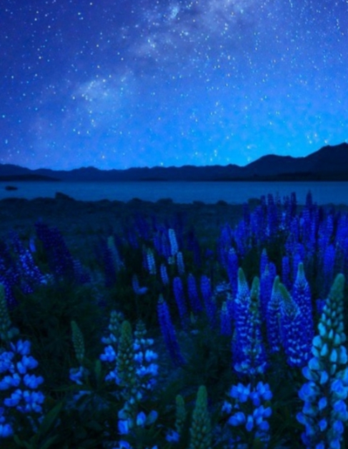 Звёздно-синее небо