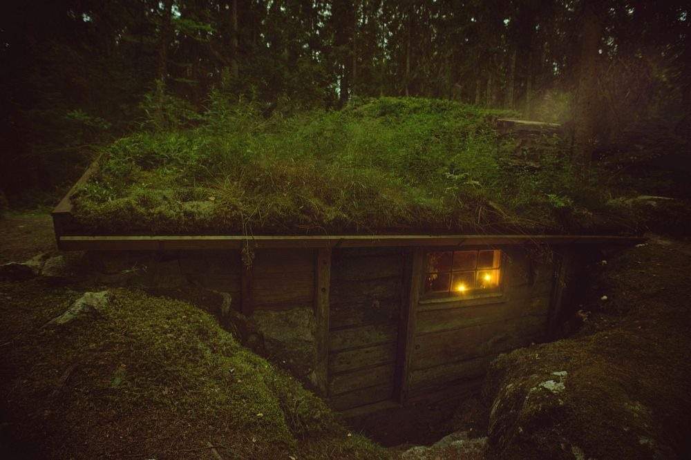 Покрою крышу дёрном я